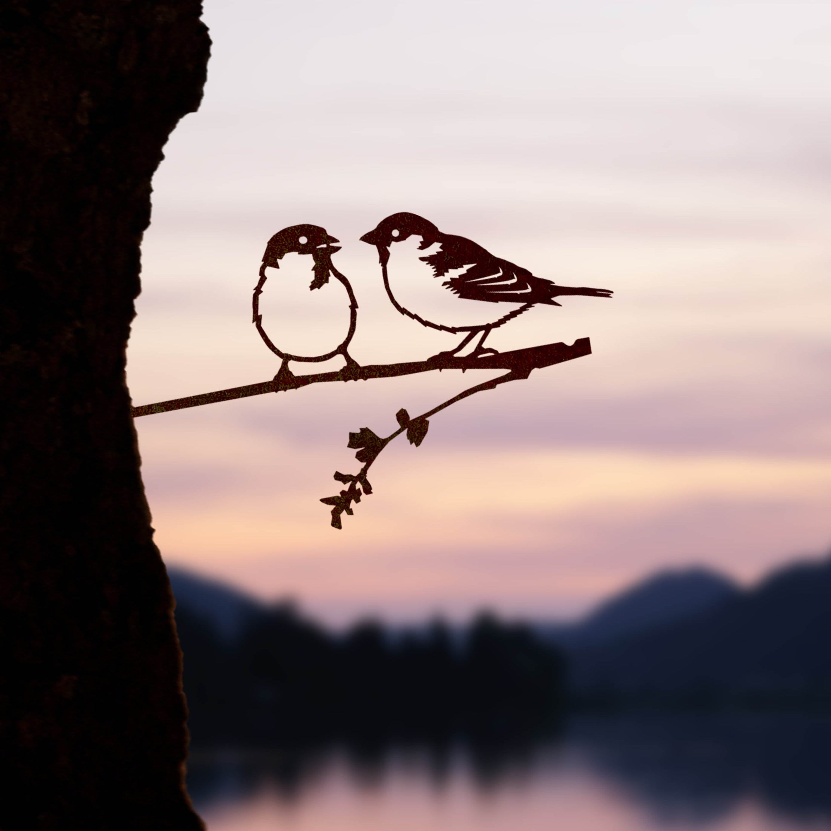 Les Moineaux Domestiques